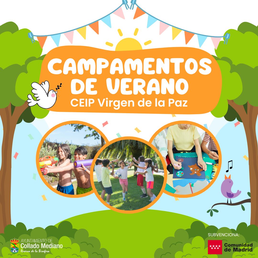 imagen redes campamentos verano ceip virgen de la paz