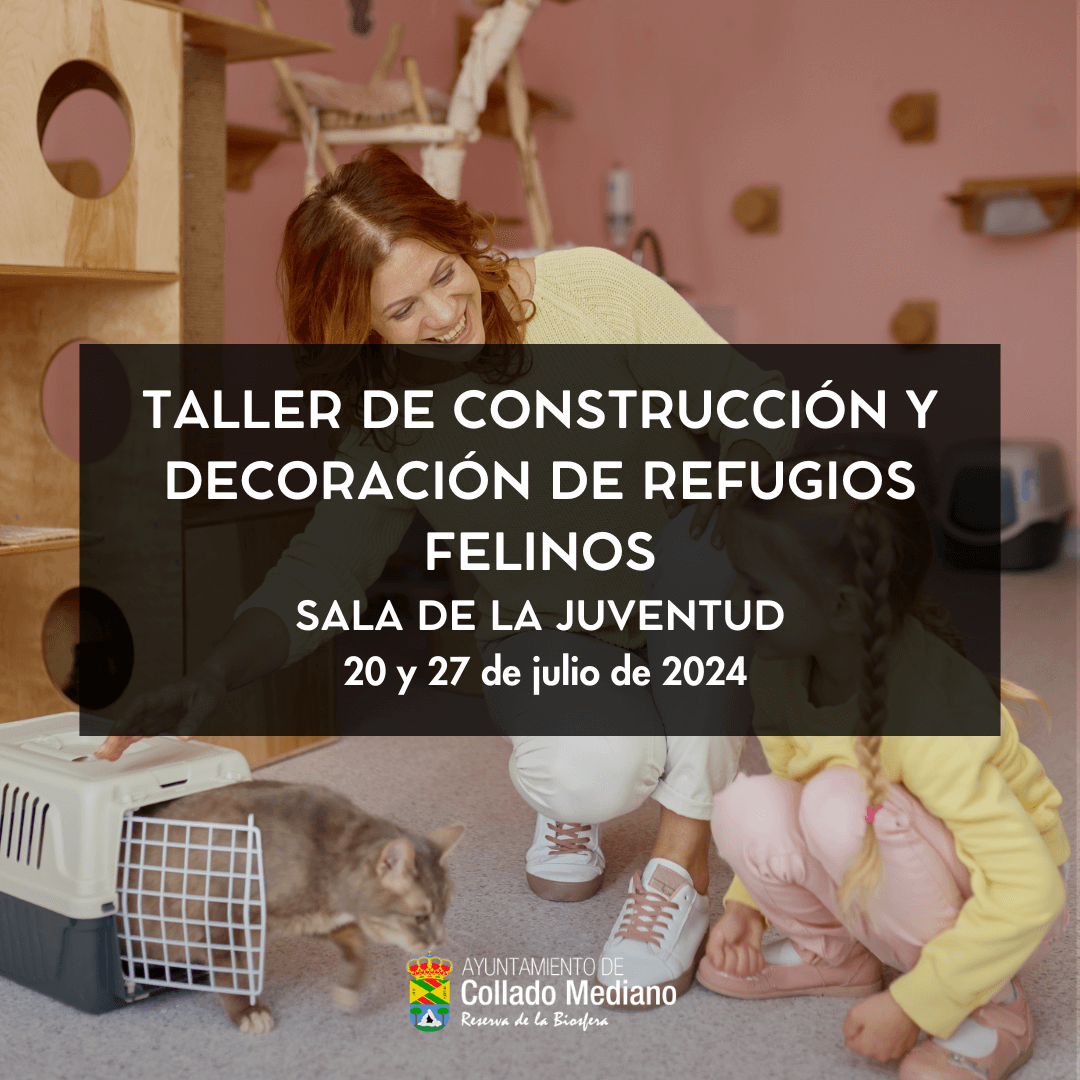 20240715 taller colonias