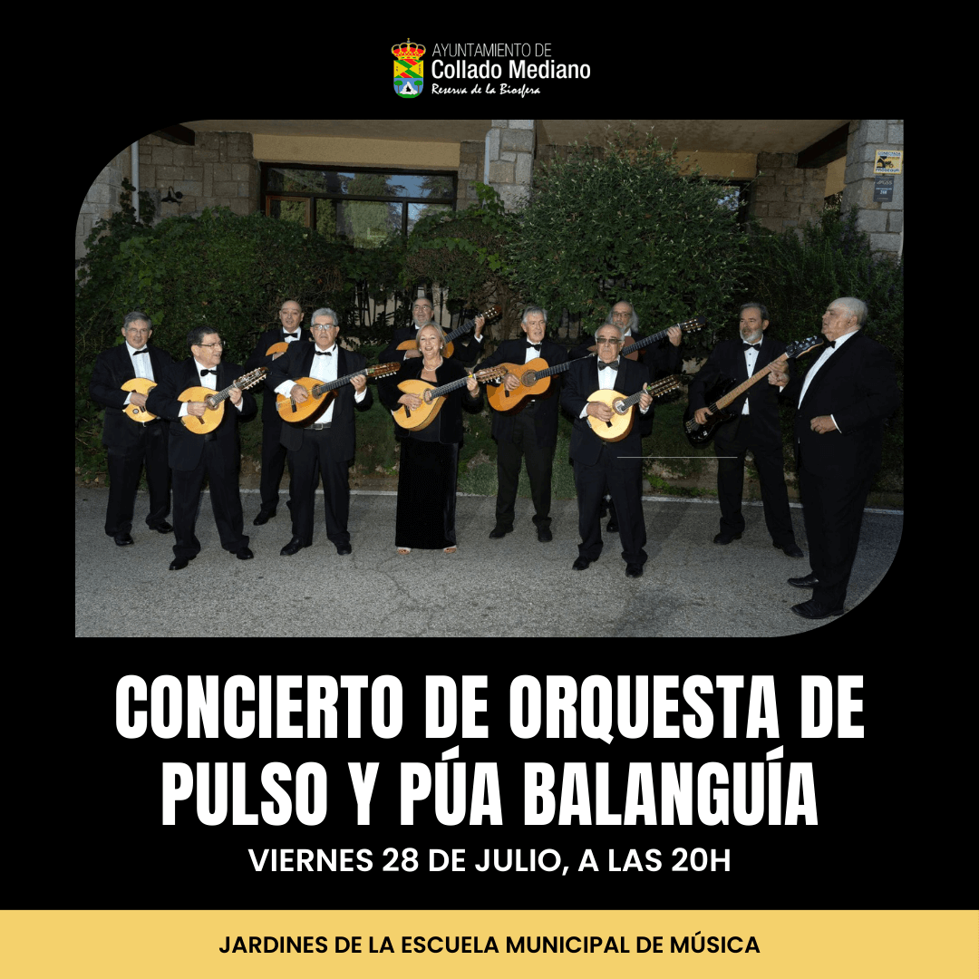 20240721 concierto pulso
